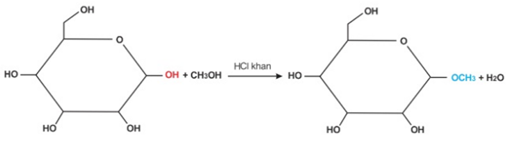 Glucozơ là gì? Tính chất hóa học, tính chất vật lí, nhận biết, điều chế, ứng dụng của Glucozơ (ảnh 1)