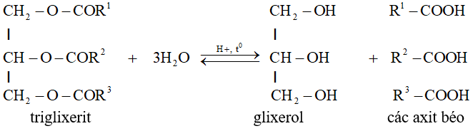 Chất béo (Lipit) là gì? Tính chất hóa học, tính chất vật lí, nhận biết, điều chế, ứng dụng của Chất béo (Lipit) (ảnh 1)