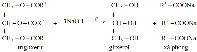 Chất béo (Lipit) là gì? Tính chất hóa học, tính chất vật lí, nhận biết, điều chế, ứng dụng của Chất béo (Lipit) (ảnh 1)