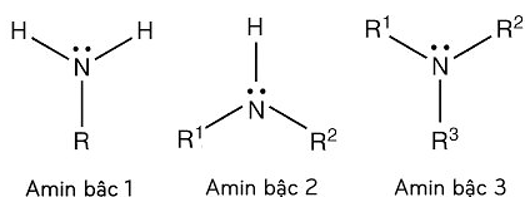 Amin là gì? Tính chất hóa học, tính chất vật lí, nhận biết, điều chế, ứng dụng của Amin (ảnh 1)