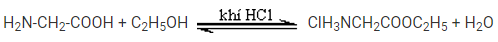 Amino axit là gì? Tính chất hóa học, tính chất vật lí, nhận biết, điều chế, ứng dụng của Amino axit (ảnh 1)