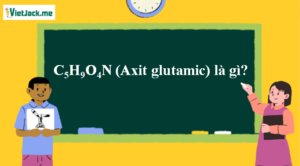 C5H9O4N (Axit glutamic) là gì? Tính chất hóa học, tính chất vật lí, nhận biết, điều chế, ứng dụng của C5H9O4N (Axit glutamic) (ảnh 1)