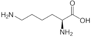 C6H14N2O2 (Lysin) là gì? Tính chất hóa học, tính chất vật lí, nhận biết, điều chế, ứng dụng của C6H14N2O2 (Lysin) (ảnh 1)