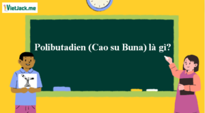 Polibutadien (Cao su Buna) là gì? Tính chất hóa học, tính chất vật lí, nhận biết, điều chế, ứng dụng của Polibutadien (Cao su Buna) (ảnh 1)