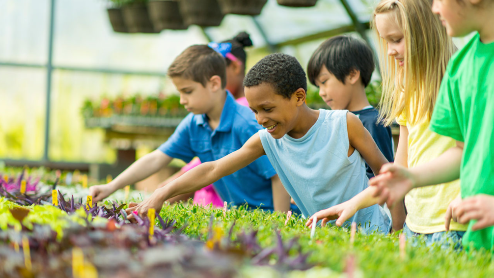 TOP 10 Đoạn văn Write a paragraph about an outdoor activity at your school (siêu hay) (ảnh 1)