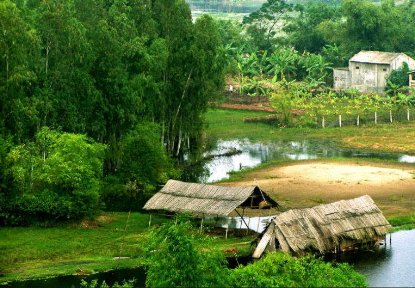 TOP 10 Đoạn văn Write a paragraph about what you like or dislikes about life in the countryside (siêu hay) (ảnh 1)