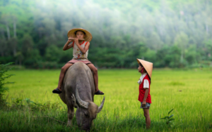 TOP 10 Đoạn văn Write a paragraph about what you like or dislikes about life in the countryside (siêu hay) (ảnh 1)