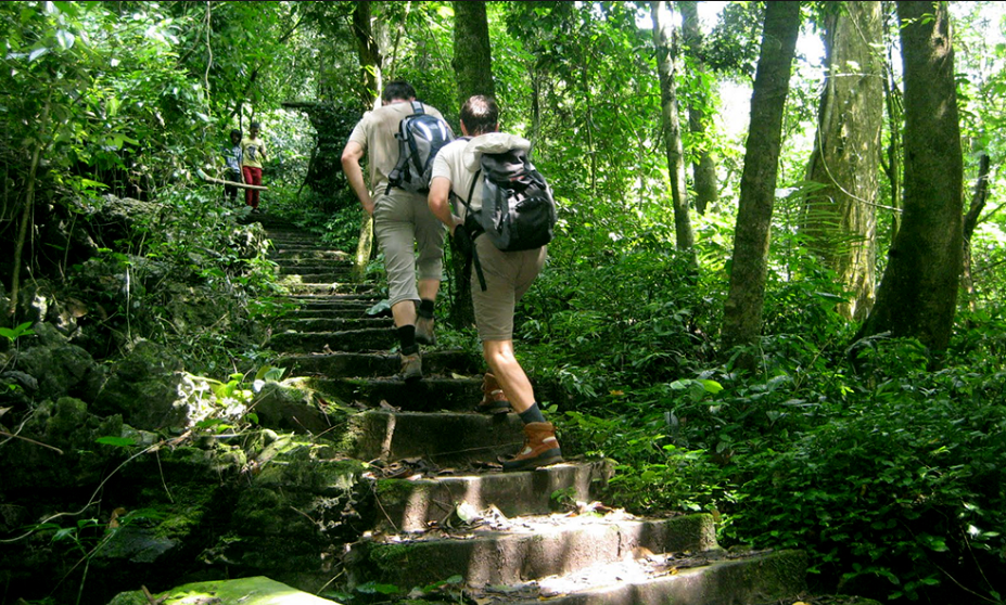 TOP 10 Đoạn văn Write a paragraph about Cuc Phuong National Park (siêu hay) (ảnh 1)