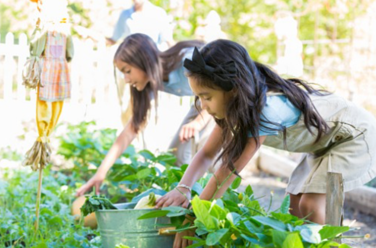 TOP 10 Đoạn văn Writing about suggestions for improving the environment in your school (siêu hay) (ảnh 1)