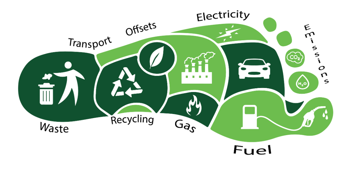 TOP 10 Đoạn văn Write a paragraph about ways to reduce your carbon footprint (siêu hay) (ảnh 1)