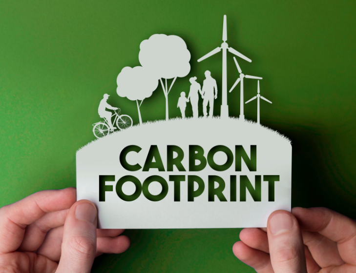 TOP 10 Đoạn văn Write a paragraph about ways to reduce your carbon footprint (siêu hay) (ảnh 1)