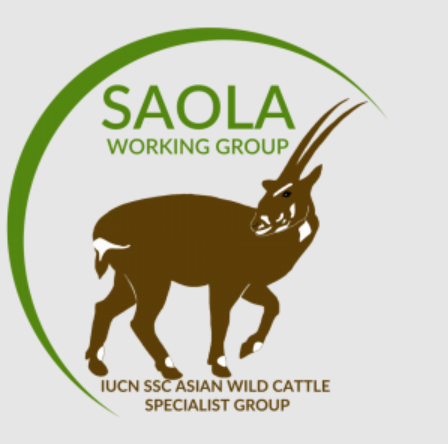 TOP 10 Đoạn văn Write a paragraph about Saola Working Group (siêu hay) (ảnh 1)