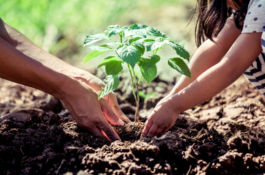 TOP 10 Đoạn văn Write an opinion essay presenting your point of view on whether we should spend more money on restoring local ecosystems (siêu hay) (ảnh 1)