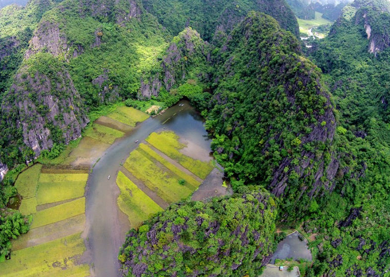 TOP 10 Đoạn văn Write a proposal to preserve Cuc Phuong ecosystem (siêu hay) (ảnh 1)