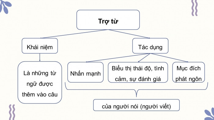 Trợ từ là gì? Phân loại trợ từ? (ảnh 1)