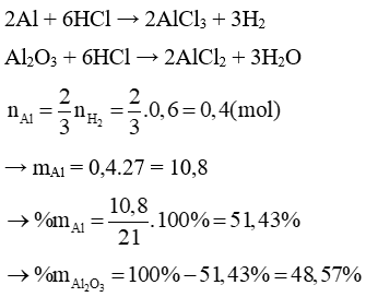 Cho 21 gam hỗn hợp bột nhôm và nhôm oxit tác dụng dung dịch HCl dư làm thoát ra 13,44 lít (ảnh 1)