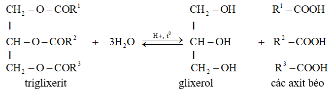 Tính chất hóa học của Chất béo (Lipit) | Tính chất vật lí, nhận biết, điều chế, ứng dụng