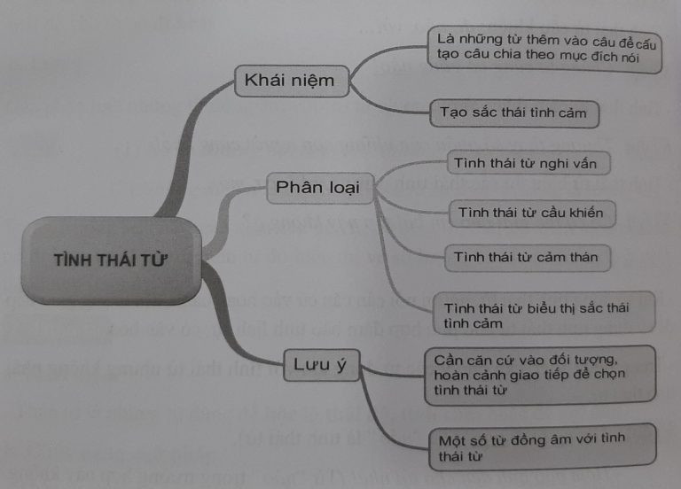 Tình thái từ là gì? Đặc điểm của tình thái từ? (ảnh 1)