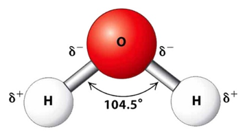 Công thức Lewis của H2O theo chương trình mới (ảnh 1)